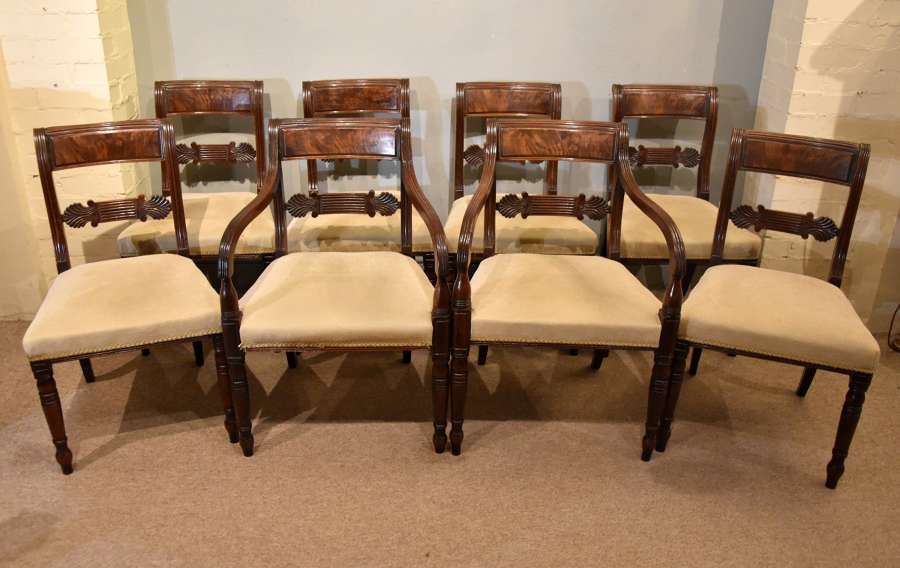 Dining Chairs / Seating