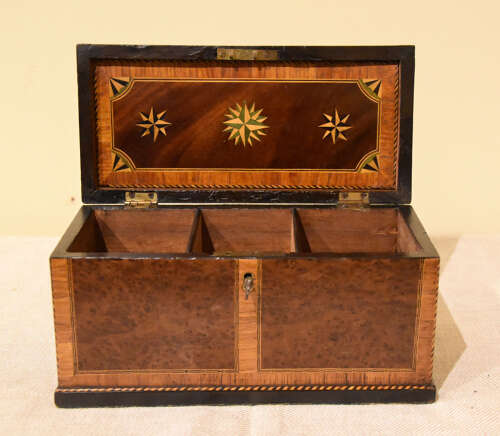 George III Burr yew tea chest