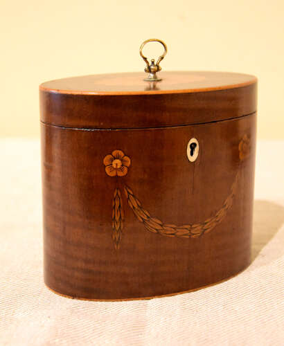 Oval Harewood tea caddy